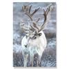 Flower Lake Snow Owl Deer Forest Landscape Winter Wall Art Canvas Painting Nordic Posters And Prints Wall Pictures Home Decor