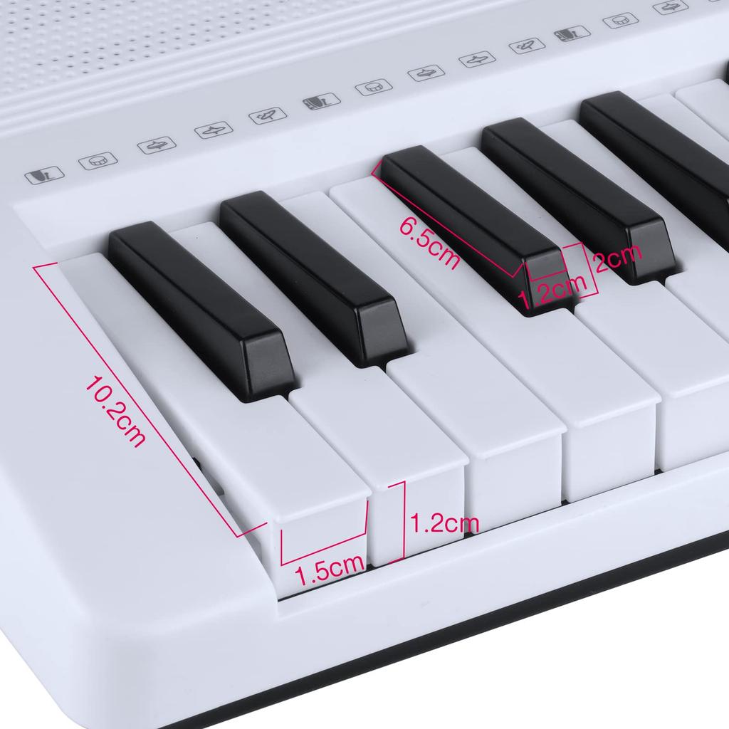 Hricane Electronic Piano Keyboard, 61 Keys, 200 Tones, 200 Rhythms, 60 Demo Songs, LCD Display, Illuminated Keys, Japanese Language Panel, Headphone