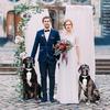 Adjustable Dog Tuxedo Suit With Bowtie Pocket Square Wedding Party Costume