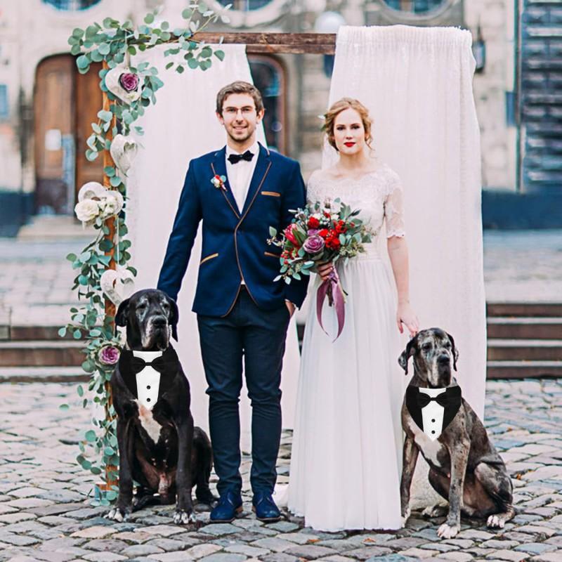 Adjustable Dog Tuxedo Suit With Bowtie Pocket Square Wedding Party Costume