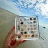 Acrylic Magnetic Seashell Storage Box 64/100 Grids Seashell Display Case Small Craft Bead Jewelry Organizer Rock Collection Box