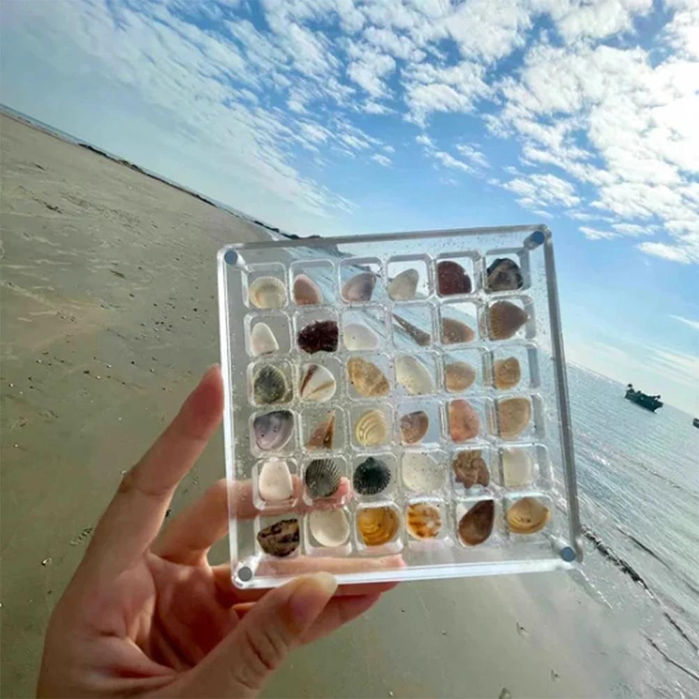 Acrylic Magnetic Seashell Storage Box 64/100 Grids Seashell Display Case Small Craft Bead Jewelry Organizer Rock Collection Box