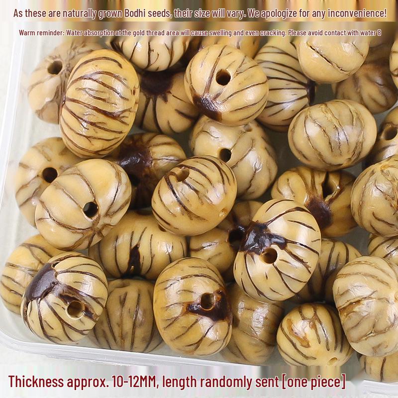 Vajra Star Moon Bodhi Beads - Raw Loose Beads for Handmade DIY Jewelry