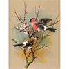 5D Diamond Painting Birds Kit DIY Full Drill Round Diamond Embroidery Animal Mosaic Picture of Rhinestones Home Decoration