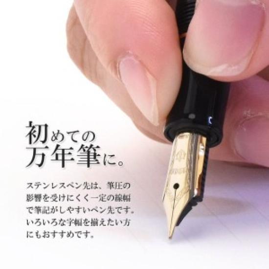 Sailor Profit Casual Fountain Pen Gold Trim Black Extra Fine Nib 11-0570-120 with Converter