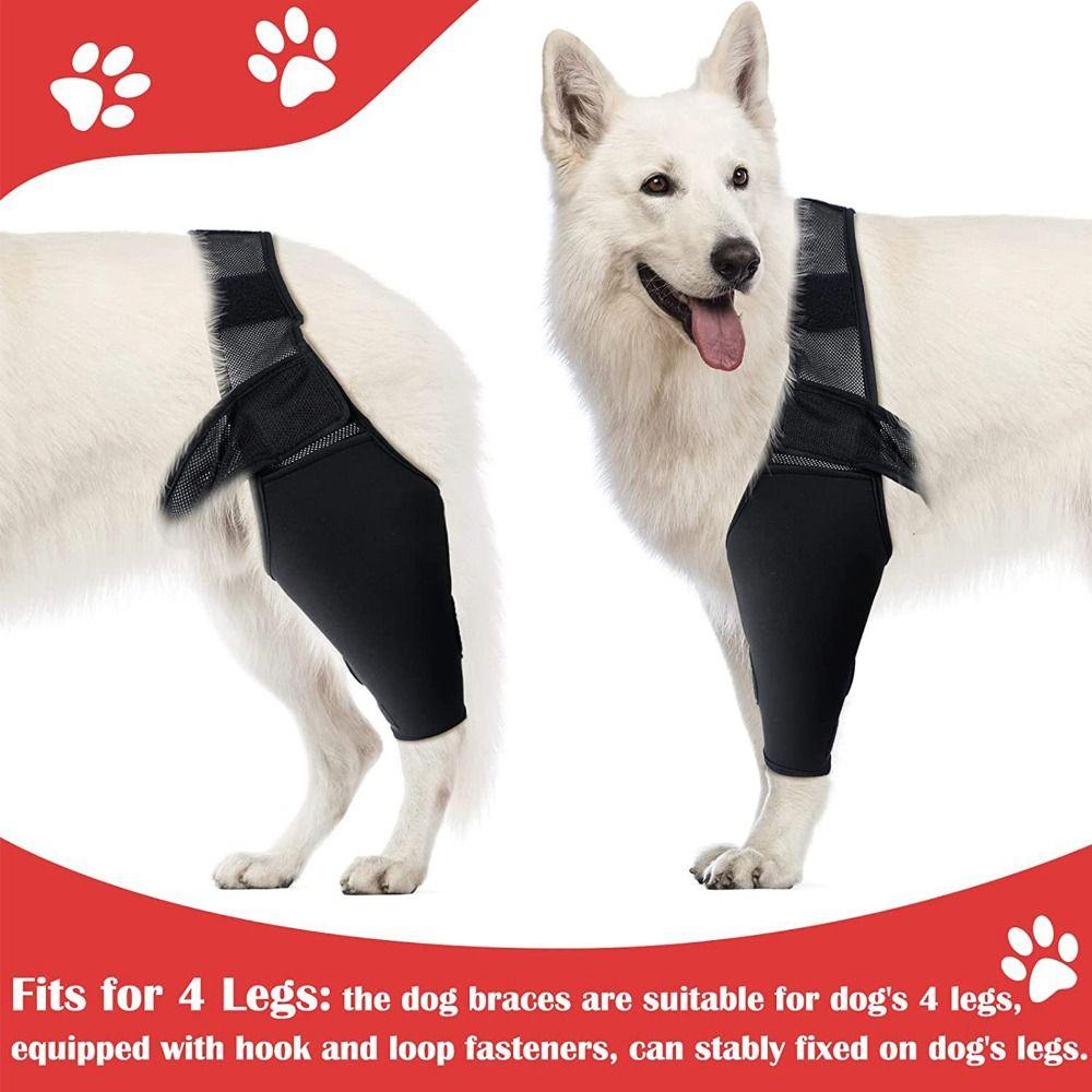 Cat Leg Protector Reduces Pain Injury Recover Legs Wrap Pet Knee Pads Dog Support Brace