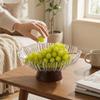 Elegant Fruit Bowl On A Pedestal for Sweets And Nuts, Stylish Basket, Storage Tray, Snack