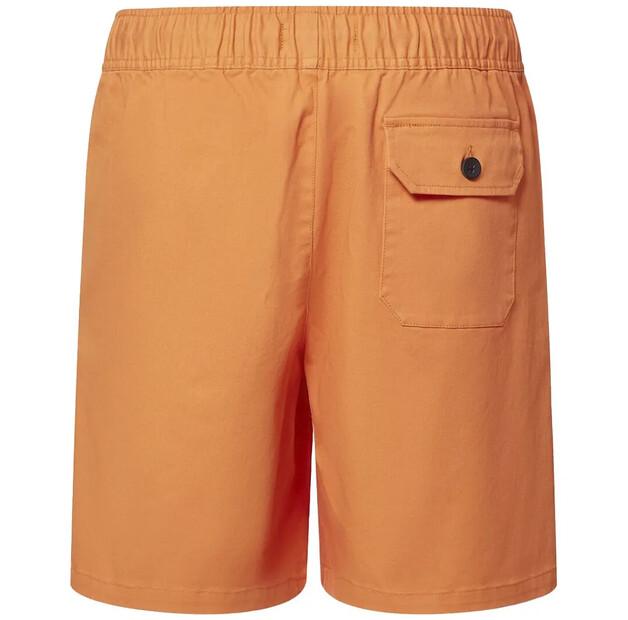 Oakley Marine Park Hybrid 19'' Shorts
