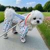 Roupa e sapatos – Macacões para cães