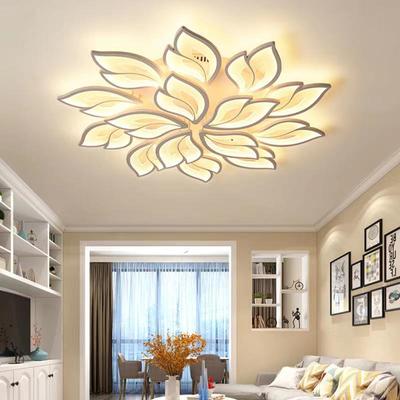 Simple Ceiling Lamp Creative Household Living Room Study Bedroom Led Lamp
