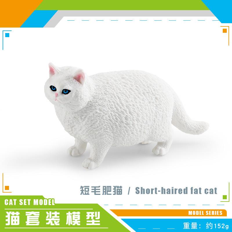 Export Simulation Shorthair Persian Cat Hairless Cat Model Children'S Cognition Pet Cat Desktop Static Ornament