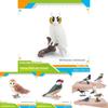 Bird Animal Model With Plastic Material For Home Decor And Collecting