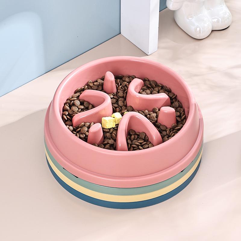 Anti-Choking Non-Slip Slow Feeder Bowl for Cats & Dogs