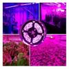 1M/2M/3M/4M/5M Pflanzenlicht Grow LED-Streifen 5V USB LED 1-5m Vollspektrum Wasserdichter LED-Chip für Gewächshaus Blume Setzling Grow Box Hydroponik