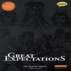 Great Expectations The Graphic Novel by Charles Dickens Paperback Book 9781906332099