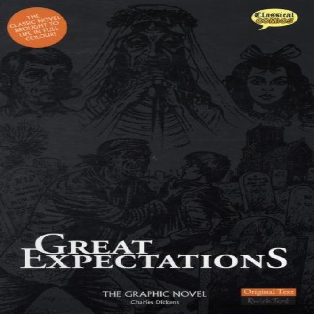 Great Expectations The Graphic Novel by Charles Dickens Paperback Book 9781906332099
