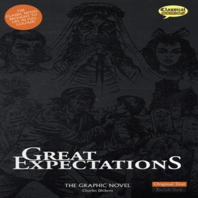 Great Expectations The Graphic Novel by Charles Dickens Paperback Book 9781906332099