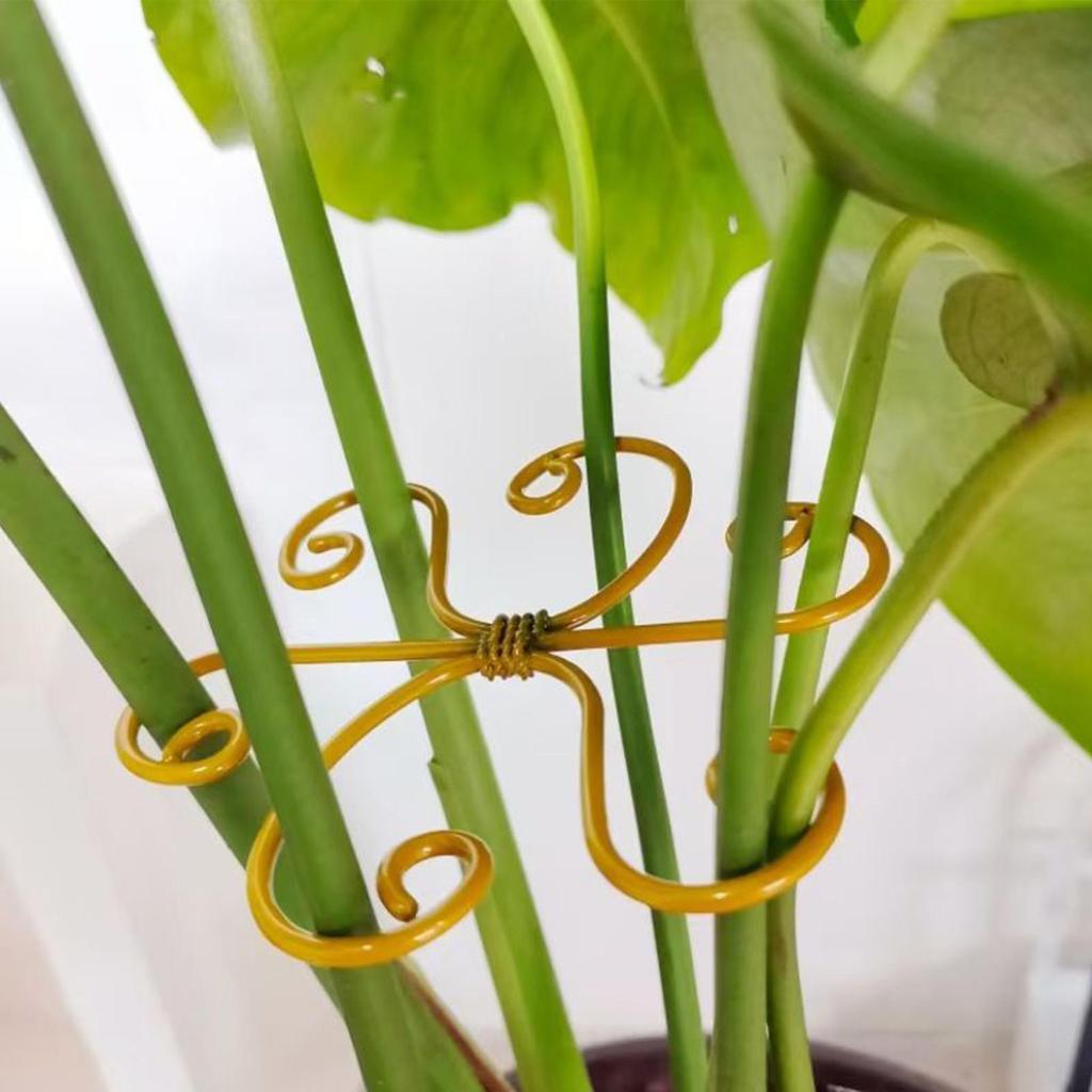 Plant Stem Support Climbing Houseplant Stem Supports 6 Pieces Metal Stabilizers For Houseplant Bonsai Monstera Indoor Outdoor