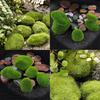 Marimo Moss Balls Artificial Grass Stones Turf Mini Fairy Garden Micro Terrarium