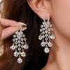 Silver Needle Light Luxury Rhinestone Tassel Stud Earrings, Elegant High-end Fashion Ear Ornaments for Women