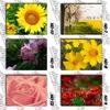 DINGPU Full Round Drill 5D DIY Diamond Painting "Flower " Embroidery Cross Stitch 5D Home Decor Gift