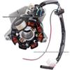 Off-road ATV Beach Buggy Stator Coil 7.5 for CG 125/150CC Motorcycles