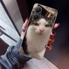 Pet Cat Funny Memes Phone Case For Xiaomi Poco X5 X6 X7 Pro F7 Ultra M7 Redmi 15C 15 13C 13 12C 12 10 10C 10A 9 9C 9T 9A Cover P