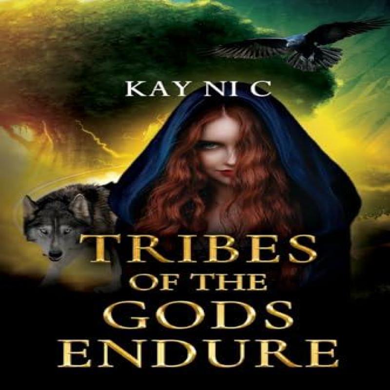 Tribes of the Gods Endure by Kay Ni C Paperback Book 9781837942657