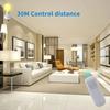 Wireless Remote Control Lamp Holder Timer Switch LED Light Bulb Socket E27 Long Distance 110V 220V for Downlight Pendant Pendant