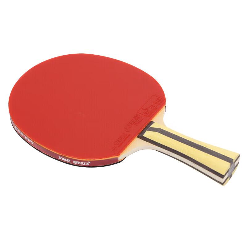 DHS Hurricane 4-Star Table Tennis Racket