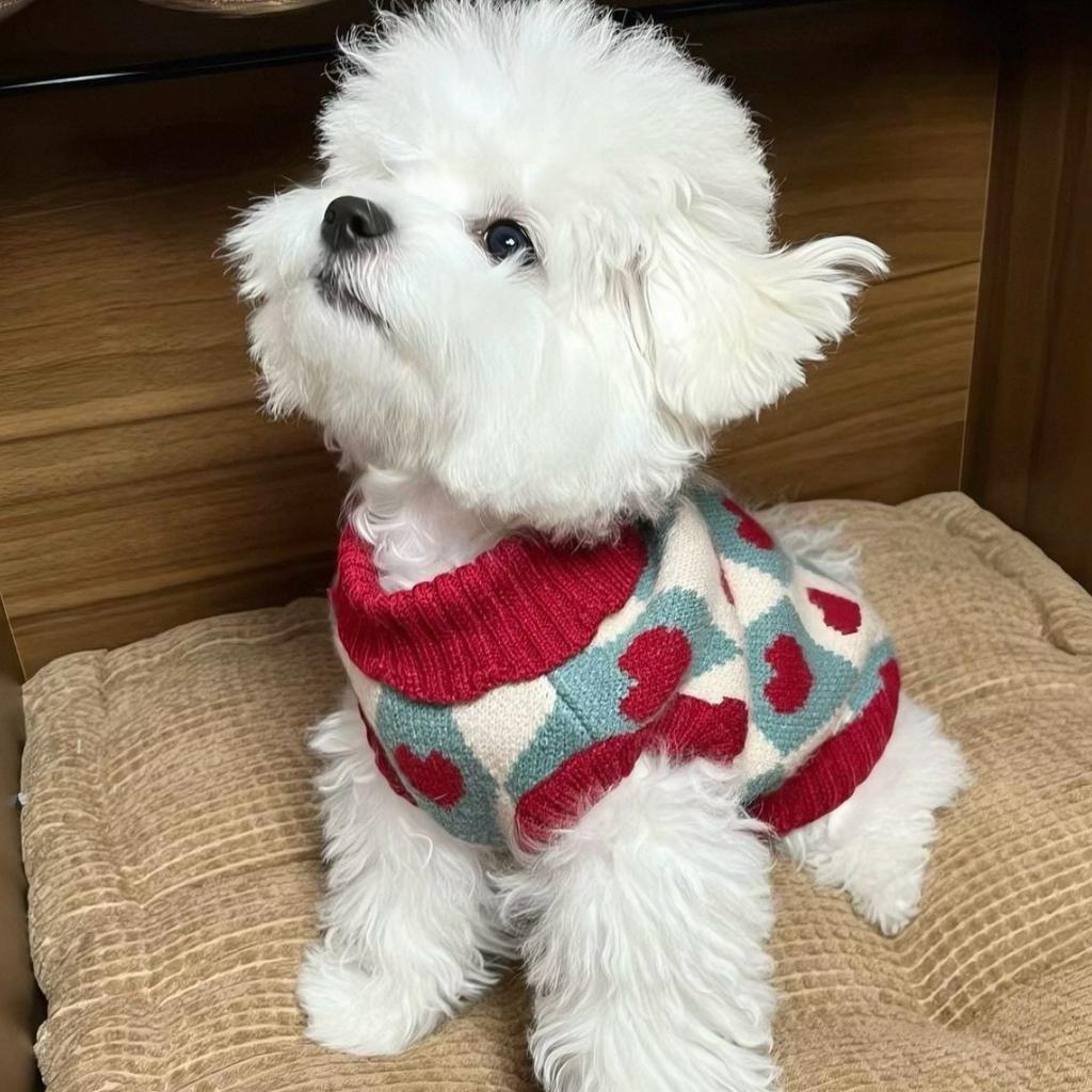 Dog Knitted Sweater Teddy Small Dog Cat Bigbear Pomeranian Schnauzer Yorkshire Pet Clothes Autumn/Winter