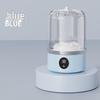 Portable Blue Light Sterilization Mini Washer for Underwear and Socks with Wireless Charging