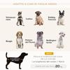 Velvet Dog Sofa for Medium and Small Dogs with Cushion, Armrests and Backrest, 82x54x36 Cm, Light Grey