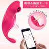 Vibrator Sucking Vibrator Remote Rotor Remote Vibrator Operation 9 Types of Suction Mode 9 Types of Shocking Mode Worn Smartphone Operation 2 Point
