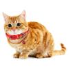 Cute Neck Strap With Bell Breakaway Cat Collar Quick Release Kitten Safety