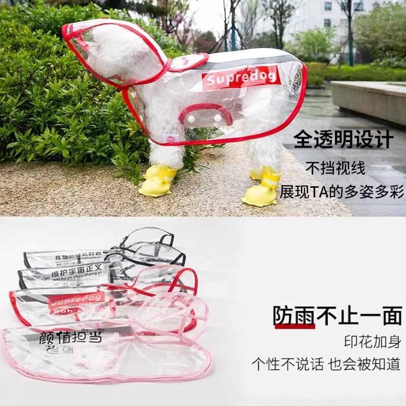 Puppy dog raincoat spring teddy bear special small dog rainy day out clothes poncho waterproof pet clothing