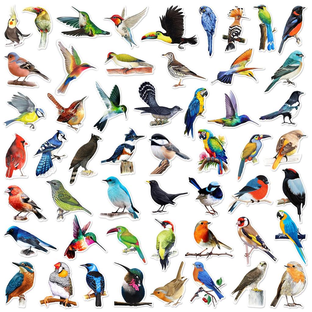 50 Colorful Bird Graffiti Stickers for Phone Cases, Guitars, Tablets, Laptops – Waterproof PVC