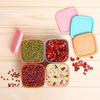 1Pc Food Container Storage Mini Preservation Box