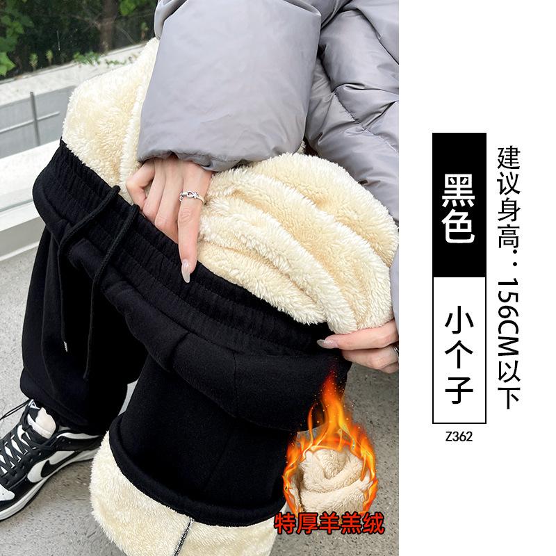 Light Gray Sweatpants Women's Autumn and Winter New High-waisted Small Loose Casual Narrow Version Straight-leg Pants Fleece Sweatpants