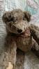 [USED] Teddy Bear with Moving Limbs