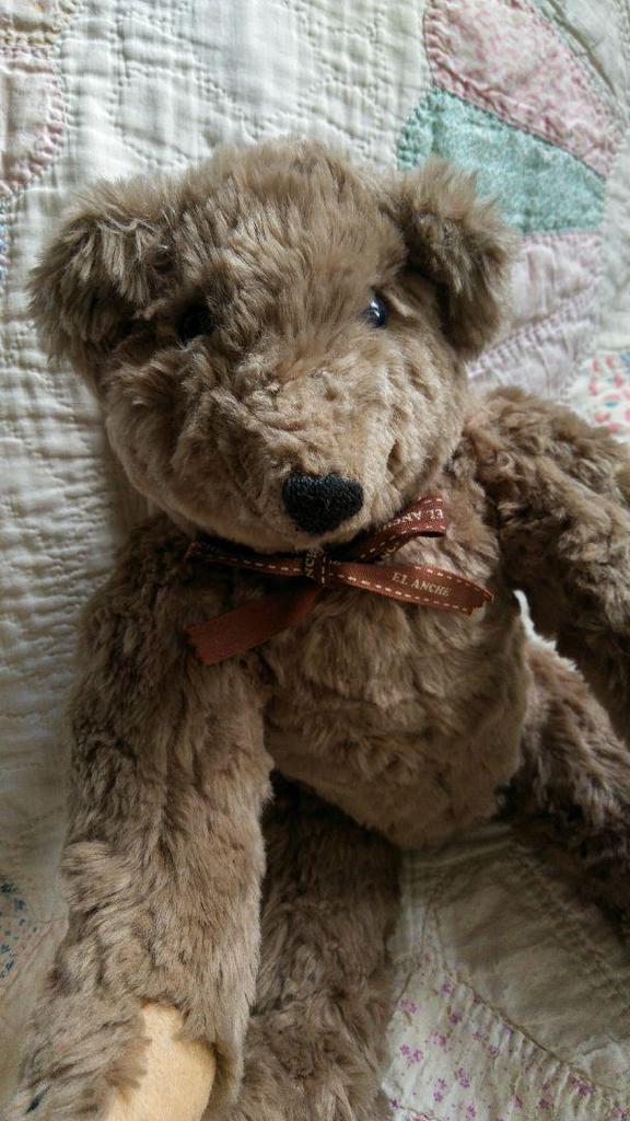 [USED] Teddy Bear with Moving Limbs