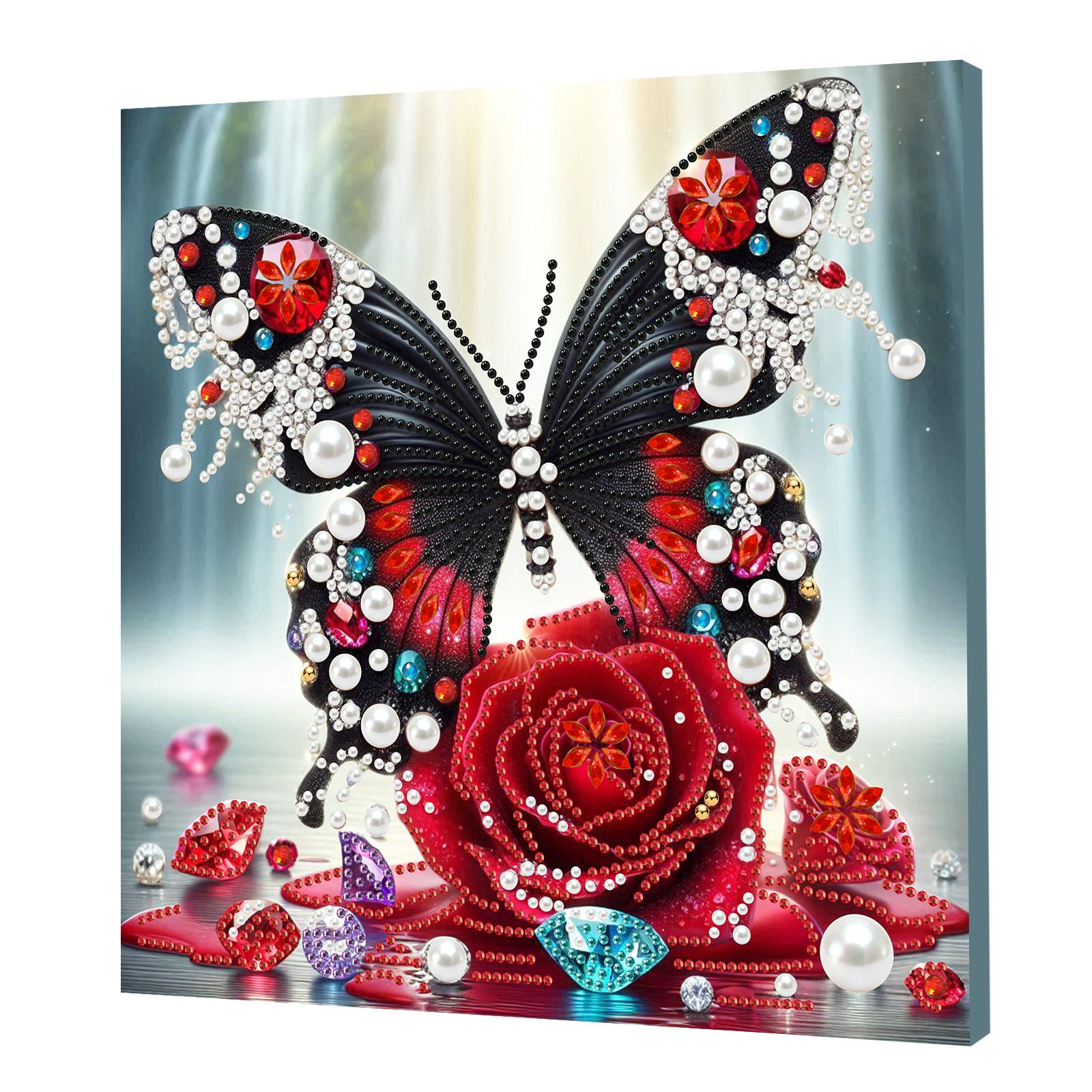 

DIY Art Craft Pearl Diamond Painting with Frame 25x25cm DIY Pearl Art Painting Set for Adults & Beginners Home Wall Decor