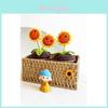 Lachende Sonnenblume im Topf Realistisches Gestricktes Pflanzendekor