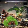 Aquarium Caves And Hides For Fish Aquarium Cave Fish Hide Resin Aquarium House Fish Tank Decor Betta Fish House Small Cave