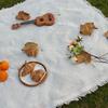 T-grid picnic mat, moisture-proof mat, picnic cloth, outdoor camping blanket, white blanket, beach mat.