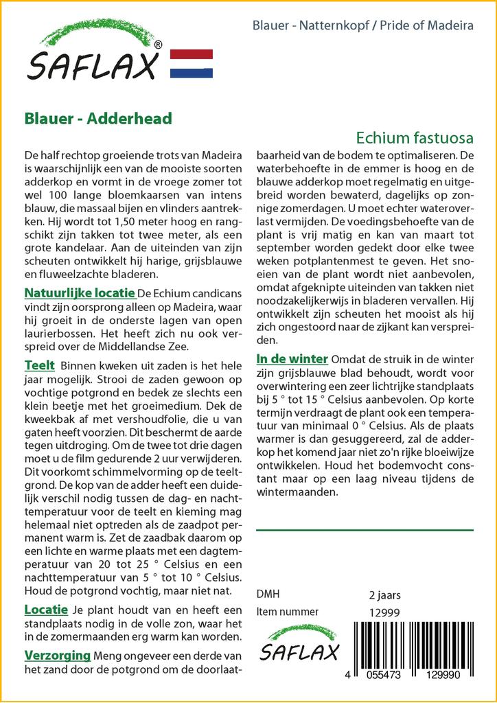 SAFLAX Pride of Madeira - 100 semen - Echium fastuosa