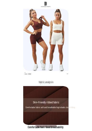 Europäisch-Amerikanisches Nahtloses Schnelltrocknendes Yoga-Westen- & High-Waist-Shorts-Set für Damen