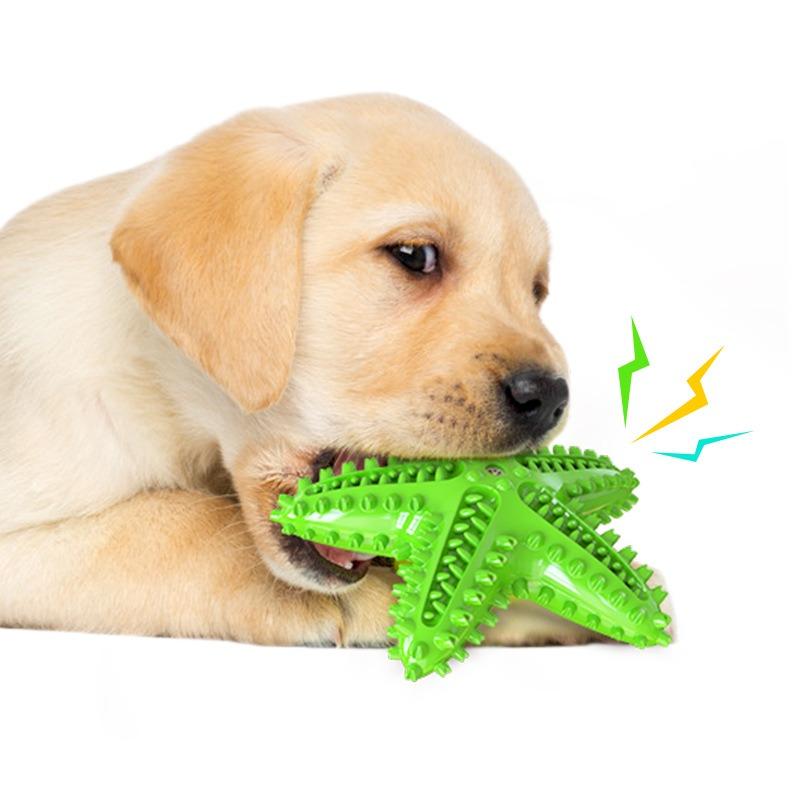 New Dog Starfish Sound-making Toys, Pet Teething Sticks, Dog Toothbrushes, Pet Supplies