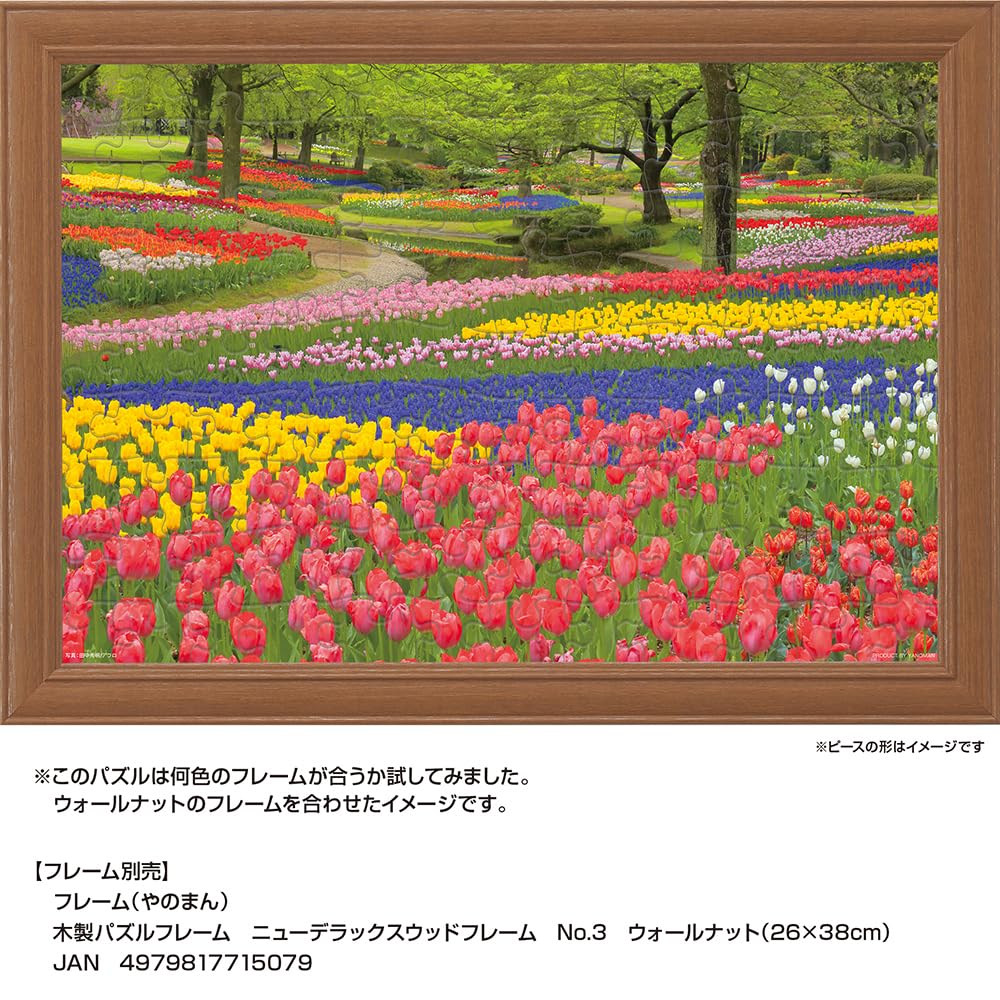 Yanoman [Made In Japan] 108-Piece Jigsaw Puzzle, Large Pieces, Japanese Landscape: Blooming Showa Memorial Park, Tokyo (26x38cm), 01-2090, Includes