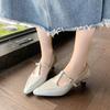 Fashion Elegant Pointed Toe Mary Jane Shoes Women's Spring Autumn New Style Thin Medium Heel Leatherette Single Shoes Buckle Strap